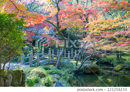The beautiful autumn foliage of the Kobe Guest House and former Nishio residence in Suma Ward, Kobe City The beautiful autumn foliage of the Kobe Guest House and former Nishio residence in Suma Ward, Kobe City 121258233