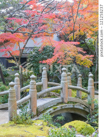 神戶市須磨區神戶迎賓館和舊西尾官邸的美麗庭園,秋葉燦爛 神戶市須磨區神戶迎賓館和舊西尾官邸的美麗庭園,秋葉燦爛 121258237