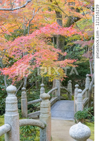神戶市須磨區神戶迎賓館和舊西尾官邸的美麗庭園,秋葉燦爛 神戶市須磨區神戶迎賓館和舊西尾官邸的美麗庭園,秋葉燦爛 121258239