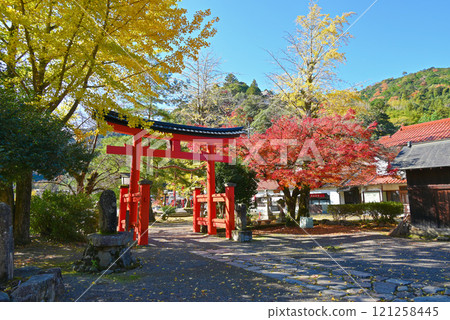 [島根縣/津和野町] 八坂神社境內染滿了秋葉 121258445