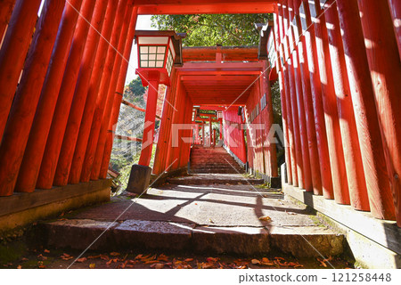 表參道、太鼓穀稻荷神社的千本鳥居[島根縣/津和野町] 121258448