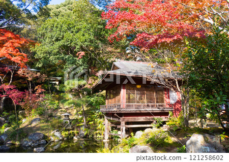 The Kobe Guest House and the teahouse "Shinju-tei" of the former Nishio residence, where the autumn leaves are beautiful, are located in Suma Ward, Kobe City. The Kobe Guest House and the teahouse "Shinju-tei" of the former Nishio residence, where the autumn leaves are beautiful, are located in Suma Ward, Kobe City. 121258602