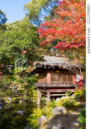The Kobe Guest House and the teahouse "Shinju-tei" of the former Nishio residence, where the autumn leaves are beautiful, are located in Suma Ward, Kobe City. 121258603