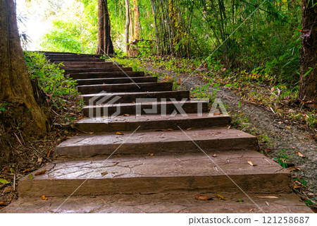 View of concrete walkway in the bamboo forest lead to the sinkhole name Lom Phu Khiew. 121258687