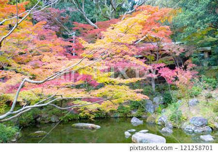 The Kobe Guest House and the former Nishio residence's annex, Shofukaku, are beautiful in autumn in Suma Ward, Kobe City. 121258701