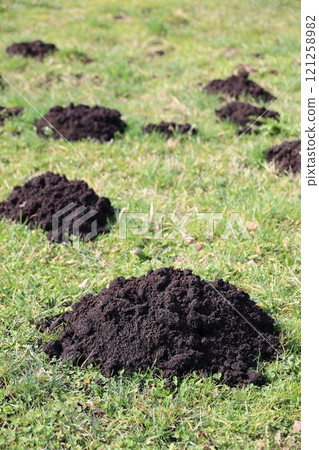 A field of dirt with a few holes in it 121258982