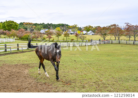 田園牧馬（秋季） 121259014