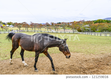 Horses in the Pastoral Village (Autumn) 121259016