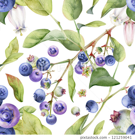 Blackberry blueberry with white bell flowers, green leaves, hand drawn in watercolor, forest berry bunch on branches. Seamless pattern isolated illustration for dessert menu, wedding, farmers market. 121259041
