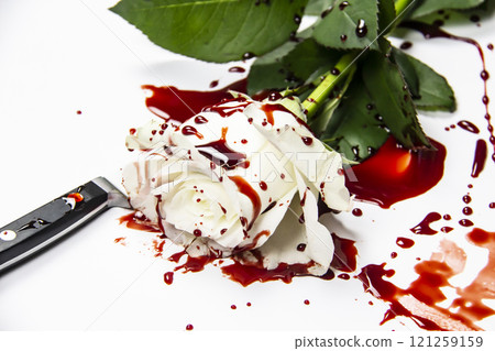 Beautiful and bloody white rose with knife on the white background. Bloody rose - conceptual photo. White rose with knife and blood. Beautiful and bloody white rose with knife on the white background. Bloody rose - conceptual photo. White rose with knife and blood. 121259159