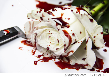 Beautiful and bloody white rose with knife on the white background. Bloody rose - conceptual photo.  White rose with knife and blood. 121259160