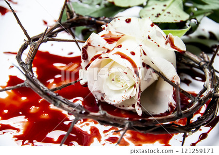 Beautiful and bloody white rose with the wreath of branches with thorns on the white background. Bloody rose - conceptual photo. White rose with blood and crown of thorns. Beautiful and bloody white rose with the wreath of branches with thorns on the white background. Bloody rose - conceptual photo. White rose with blood and crown of thorns. 121259171