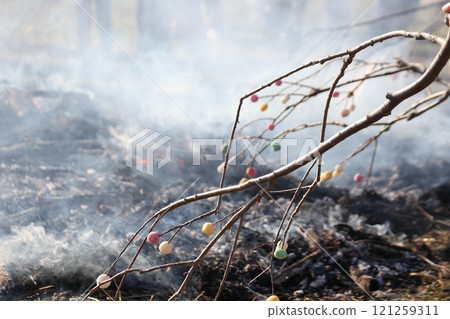 The mayudama are attached to the end of a long branch and roasted over a fire. 121259311