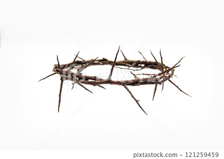 A crown of thorns on a white background. Conceptual phototo use in the design. A wreath of branches with thorns A crown of thorns on a white background. Conceptual phototo use in the design. A wreath of branches with thorns 121259459
