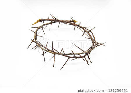 A crown of thorns on a white background. Conceptual phototo use in the design. A wreath of branches with thorns A crown of thorns on a white background. Conceptual phototo use in the design. A wreath of branches with thorns 121259461
