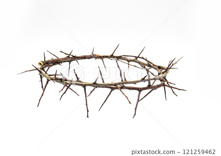A crown of thorns on a white background. Conceptual phototo use in the design. A wreath of branches with thorns 121259462