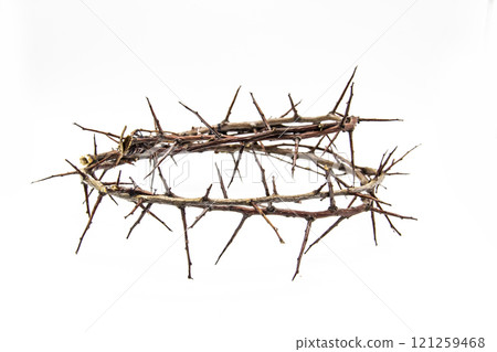 A crown of thorns on a white background. Conceptual phototo use in the design. A wreath of branches with thorns A crown of thorns on a white background. Conceptual phototo use in the design. A wreath of branches with thorns 121259468
