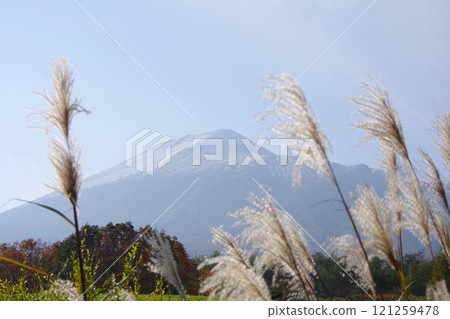Iwate Prefecture: Snow-capped Mt. Iwate and silver grass Iwate Prefecture: Snow-capped Mt. Iwate and silver grass 121259478