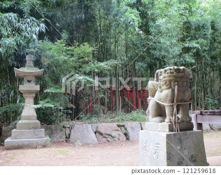 2014, Takamatsu, Yashima, scenery, temple, Yashima Temple, guardian lion, part 2 2014, Takamatsu, Yashima, scenery, temple, Yashima Temple, guardian lion, part 2 121259618