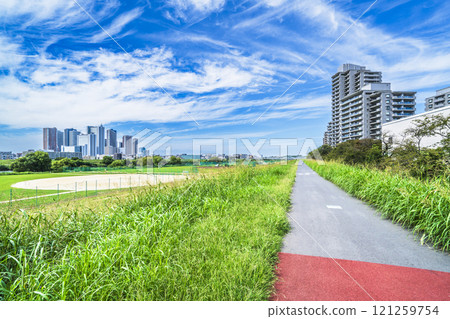 Summer scenery of the Tama River: Musashi-Kosugi tower apartment complexes seen from the riverbank [Kawasaki City, Kanagawa Prefecture - Ota Ward, Tokyo] 121259754