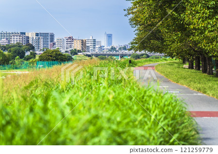 Summer Tamagawa River: Houses lined up along the river and the lush greenery of the riverbed [Ota Ward, Tokyo - Kawasaki City, Kanagawa Prefecture] 121259779