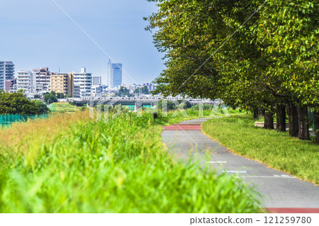 夏天的多摩川河床、自行車道、房屋、穿越多摩川的火車、新鮮的綠色植物[東京都大田區] 121259780