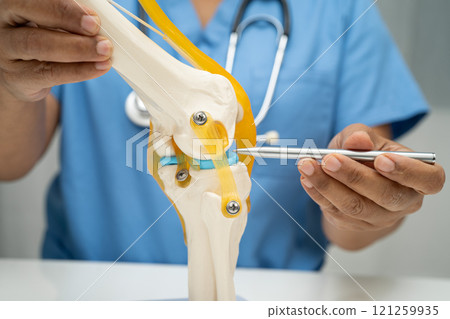 Asian doctor holding spinal nerve and bone model, Lumbar spine displaced herniated disc fragment for treatment medical in the orthopedic department. Asian doctor holding spinal nerve and bone model, Lumbar spine displaced herniated disc fragment for treatment medical in the orthopedic department. 121259935