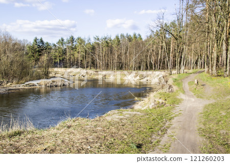 Ukranian landscape in the forest. Pine forest with a river name Psel in city Sumy. Pine trees on a river bank in Ukraine. Beautiful river called Psel Ukranian landscape in the forest. Pine forest with a river name Psel in city Sumy. Pine trees on a river bank in Ukraine. Beautiful river called Psel 121260203