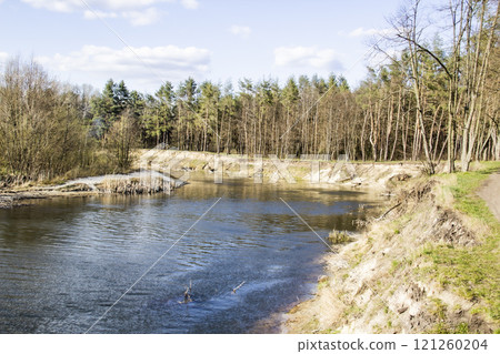 Ukranian landscape in the forest. Pine forest with a river name Psel in city Sumy. Pine trees on a river bank in Ukraine. Beautiful river called Psel Ukranian landscape in the forest. Pine forest with a river name Psel in city Sumy. Pine trees on a river bank in Ukraine. Beautiful river called Psel 121260204