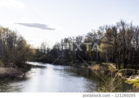 Ukranian landscape in the forest. Pine forest with a river name Psel in city Sumy. Pine trees on a river bank in Ukraine. Beautiful river called Psel Ukranian landscape in the forest. Pine forest with a river name Psel in city Sumy. Pine trees on a river bank in Ukraine. Beautiful river called Psel 121260205