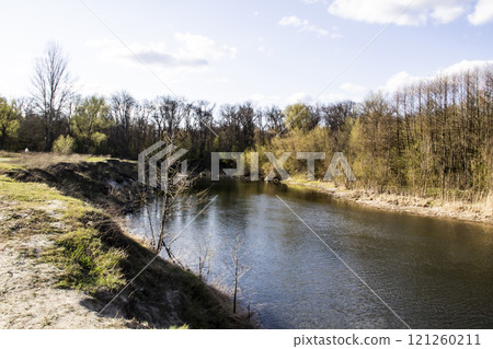 Ukranian landscape in the forest. Pine forest with a river name Psel in city Sumy. Pine trees on a river bank in Ukraine. Beautiful river called Psel 121260211