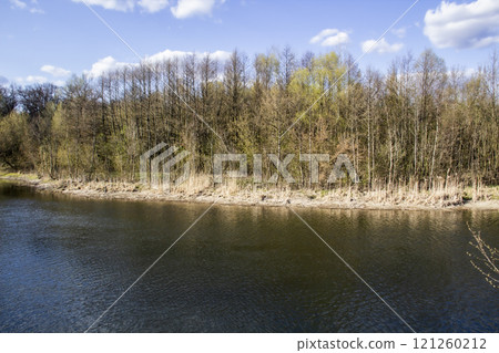 Ukranian landscape in the forest. Pine forest with a river name Psel in city Sumy. Pine trees on a river bank in Ukraine. Beautiful river called Psel Ukranian landscape in the forest. Pine forest with a river name Psel in city Sumy. Pine trees on a river bank in Ukraine. Beautiful river called Psel 121260212