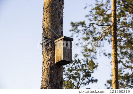 Birdhouse in a pine forest on a tree. Birdhouses in the forest. Bird box in nature against blue sky Birdhouse in a pine forest on a tree. Birdhouses in the forest. Bird box in nature against blue sky 121260219