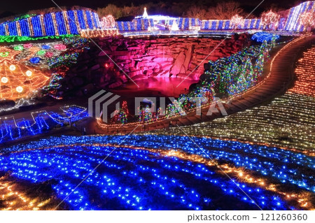 [Kagawa Prefecture] Winter National Sanuki Mannou Park (Illumination) 121260360