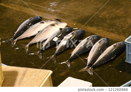 Himi Yellowtail Himi Yellowtail 121260866