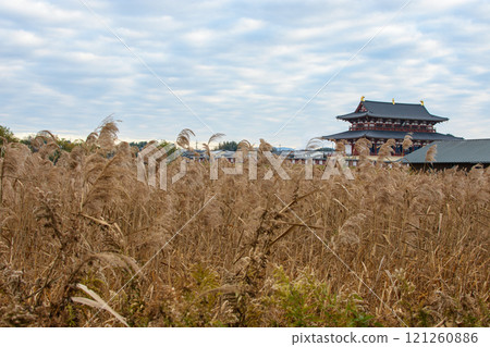 Heijo Palace, the imperial residence and the administrative centre of Japan for most of the Nara period from 710 to 794 AD, Nara, Japan Heijo Palace, the imperial residence and the administrative centre of Japan for most of the Nara period from 710 to 794 AD, Nara, Japan 121260886