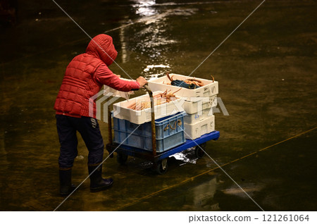 Snow crab from Toyama Snow crab from Toyama 121261064