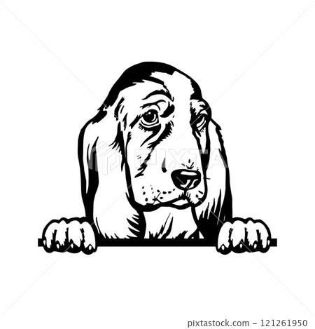 Peeking Puppy Basset Hound - Dog Breed, Puppy Breed Vector File, detailed vector Peeking Puppy Basset Hound - Dog Breed, Puppy Breed Vector File, detailed vector 121261950