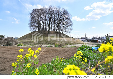 倉賀野宿漫步:高崎市倉野町大鶴卷古墳 倉賀野宿漫步:高崎市倉野町大鶴卷古墳 121262163