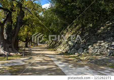 Wakayama castle park and walls, old historic Japanese castle in Wakayama city in Kansai region, Japan 121262271