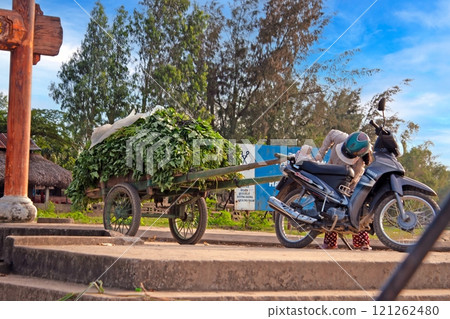Motorbike pulling a cart loaded with green plants, set against a rural backdrop 121262480