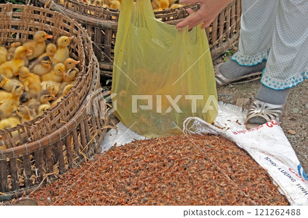 Close up of baby ducks in baskets at a market with a large bag of food in the foreground 121262488