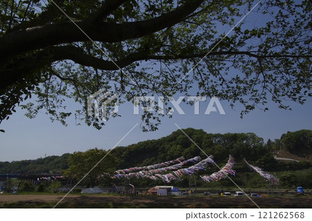 The carp streamers of Sagamihara Suigou Tana are not currently being held. The carp streamers of Sagamihara Suigou Tana are not currently being held. 121262568
