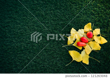 Fallen ginkgo leaves and ternate gourd on the lawn Fallen ginkgo leaves and ternate gourd on the lawn 121263048