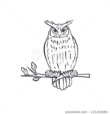 Hand drawn black and white line art eagle-owl sitting on tree branch 121263080
