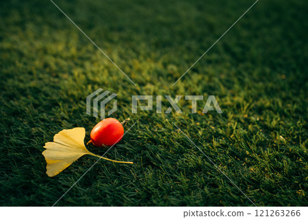 草坪上掉落的銀杏葉和葫蘆 121263266