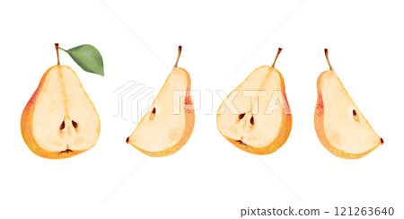 Collection of yellow pears. Fruit halves and pieces. Botanical watercolor and marker illustration. Hand drawn isolated art. Clip art of ripe fruits from tree. Vegetarian products. Organic food sketch. 121263640