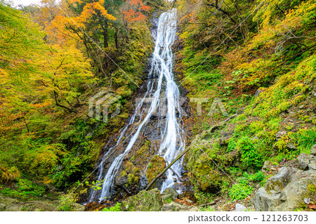 秋天的丸神瀑布 埼玉縣秩父郡 秋天的丸神瀑布 埼玉縣秩父郡 121263703