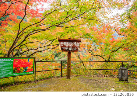 Autumnal Kanekuraotoshi mountain stream, Chichibu City, Saitama Prefecture Autumnal Kanekuraotoshi mountain stream, Chichibu City, Saitama Prefecture 121263836