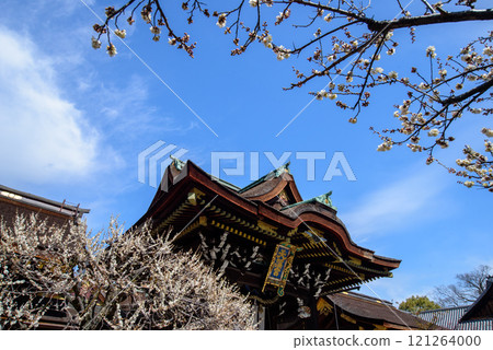 北野天滿宮白梅花和三光門 北野天滿宮白梅花和三光門 121264000